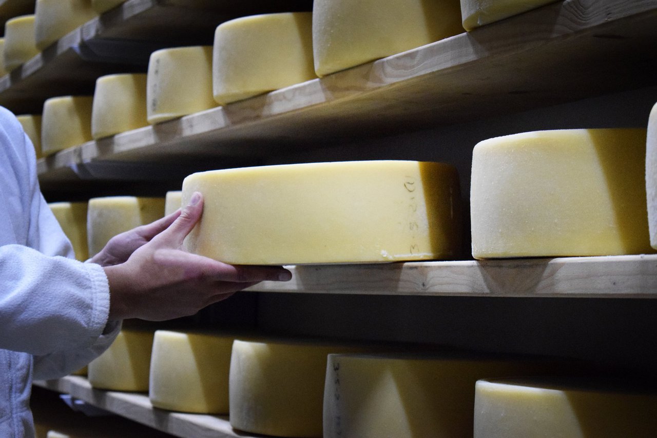 Los beneficios del queso, cada vez más evidentes