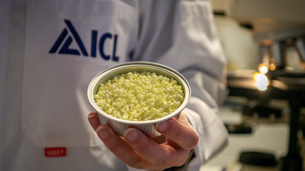 Los ganaderos gallegos eligen la Solución Única de ICL para la nutrición del maíz forrajero