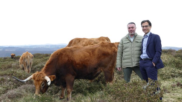 “Os Corner Agro de Santander ofrécenlles un servizo  especializado e de calidade aos  nosos clientes”