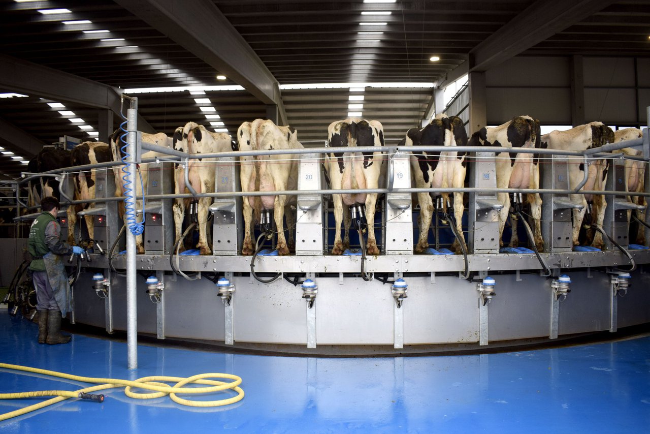 Un alimento 'de la leche'