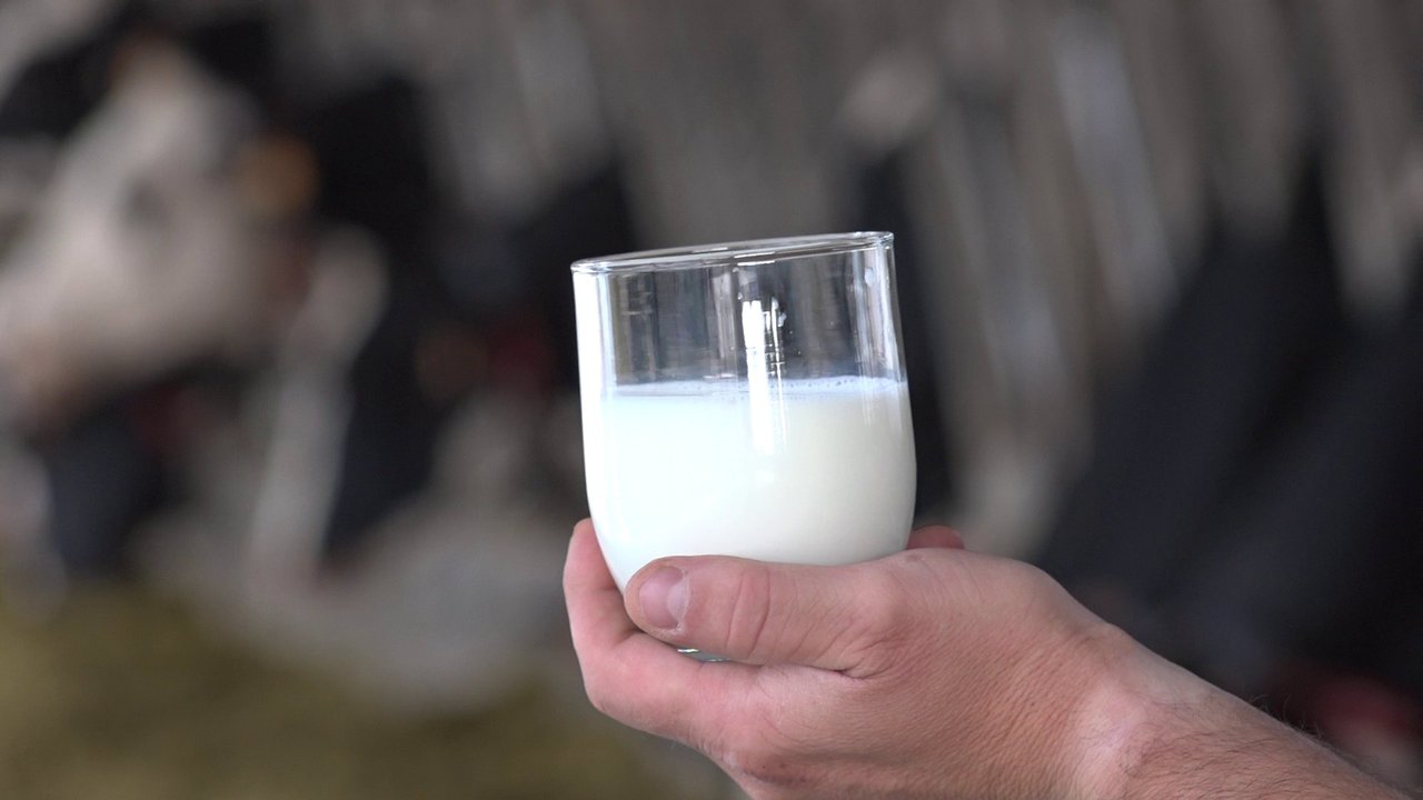 Os centros escolares galegos obterán novamente máis dun millón de euros en axudas para a subministración de leite e outros alimentos
