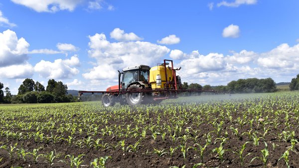 A nova normativa sobre o uso de fitosanitarios e pesticidas