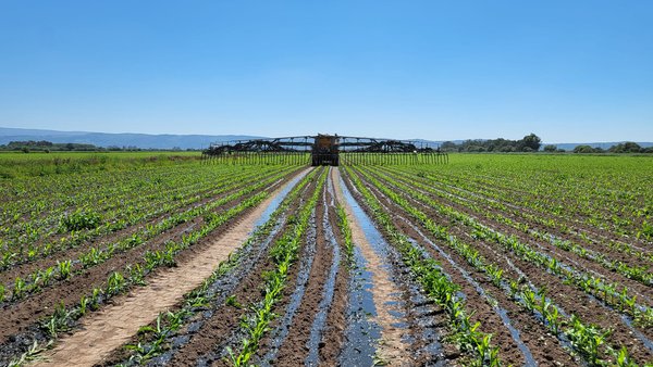 A aplicación web RAX de recomendación de fertilización con xurro no millo forraxeiro e as perdas de nitróxeno por volatilización de amoníaco