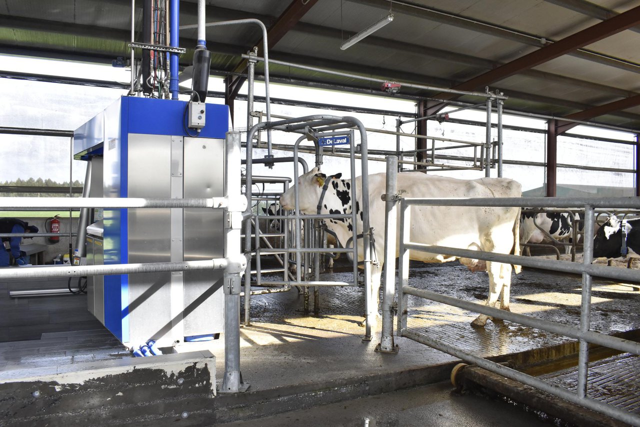 A que aspectos clave presta atención o sistema Nanta Dairy Robot (II)?