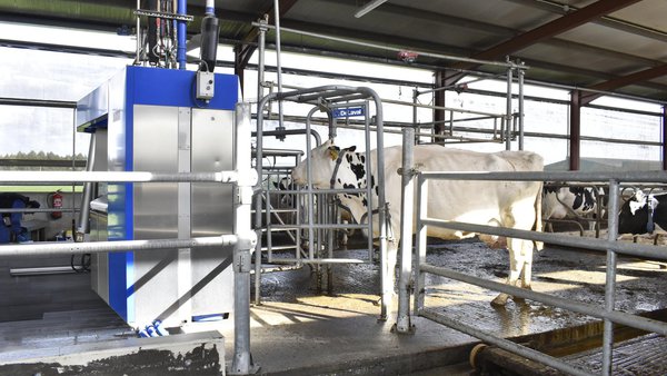 ¿A qué aspectos clave presta atención el sistema Nanta Dairy Robot (II)?