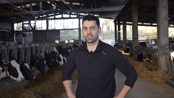 El resurgir de Campolongo con el ordeño robotizado de Lely
