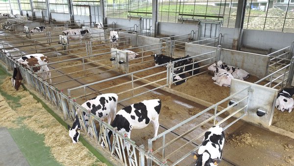 O manexo e a mellora de instalacións enfocados na saúde podal (2): estratexias e pequenas modificacións