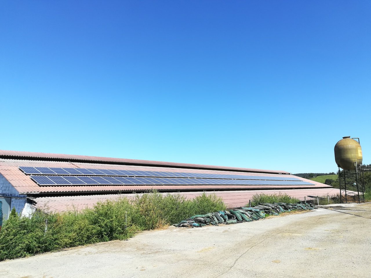 Gocalvesa: un exemplo de descarbonización na industria láctea española