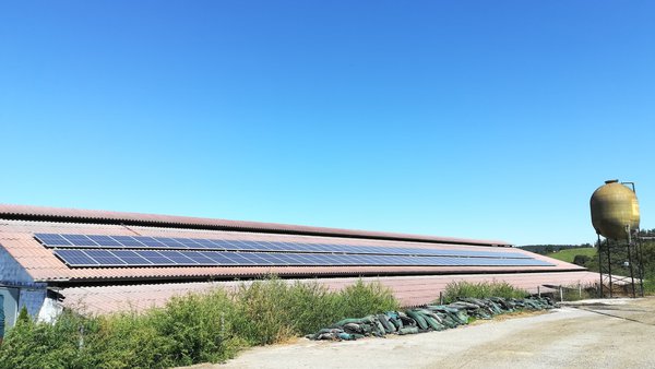 Gocalvesa: un exemplo de descarbonización na industria láctea española