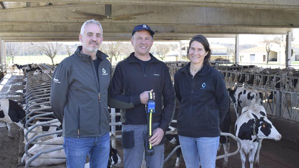 Control de la reproducción y de la salud en la recría, las vacas en lactación y las secas