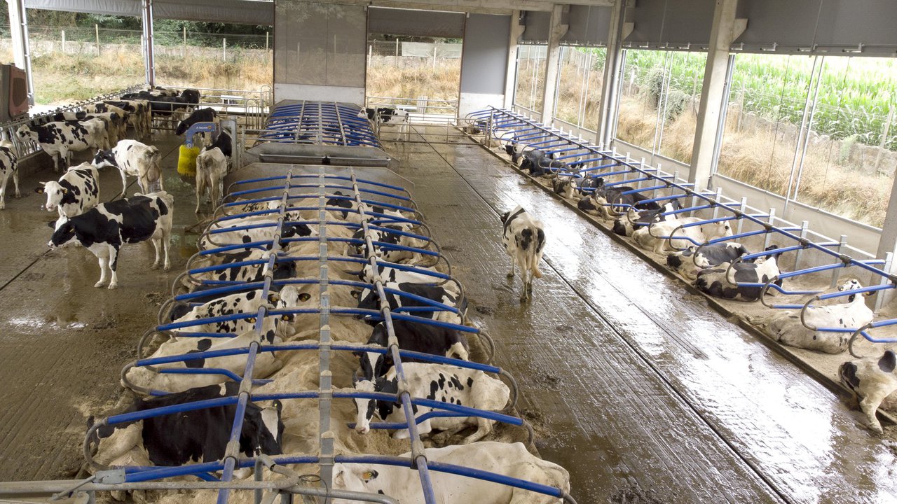 Por que o meu veciño produce máis ca min? Deseño e manexo de instalacións