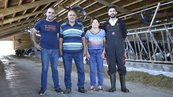 Especialistas en vacas productoras y longevas