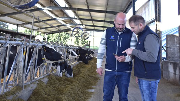 Dairy Compass, la nueva solución de De Heus para el análisis de datos y la eficiencia