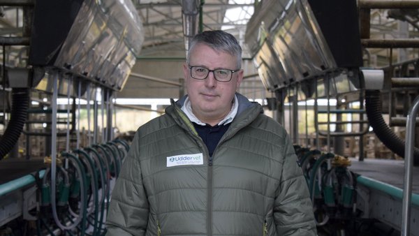 Nace Uddervet, una empresa veterinaria especializada en calidad de leche y salud de ubre