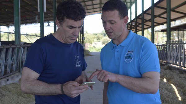 O programa Gando impulsa unha xestión gandeira máis eficiente, conectada e baseada en datos