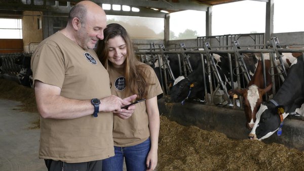 Requisitos mínimos de benestar animal nas explotacións de vacún en relación coas obrigas de vixilancia do titular da explotación (RD 346/2025)