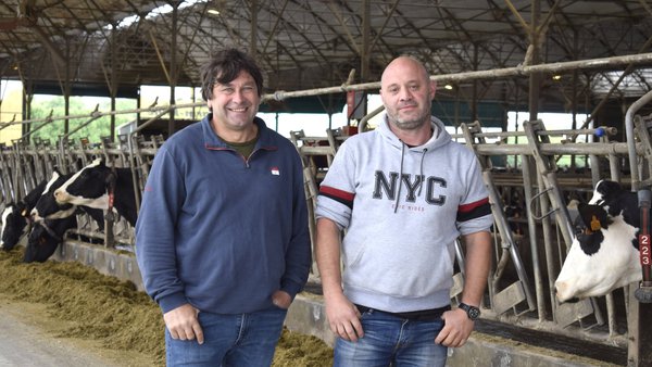 SAT As Pandas: tecnoloxía Lely e tráfico libre ao servizo do benestar animal