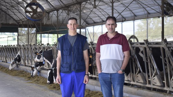 Mellora xenética, tecnoloxía avanzada e manexo eficiente marcan o camiño da excelencia gandeira