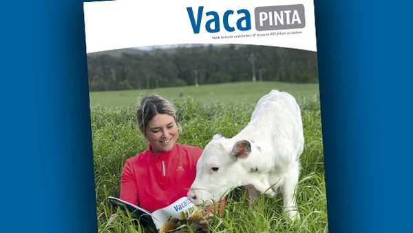 Vaca Pinta 20, tamén dispoñible en castelán!
