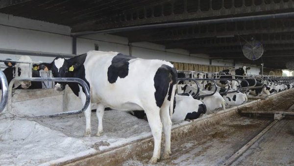 Produtor, non pague dobre imposto no verán