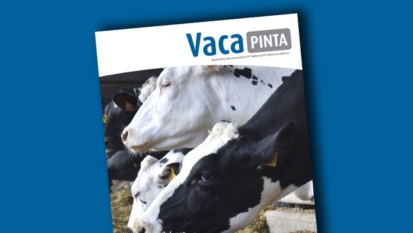 Publicada a edición en castelán de Vaca Pinta 8