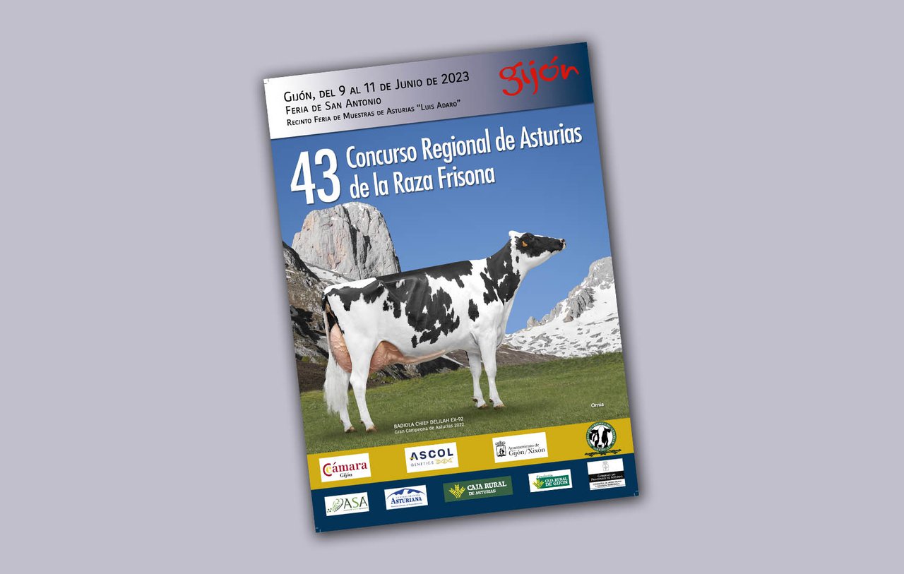 O 43.º Concurso Rexional de Asturias volve este sábado