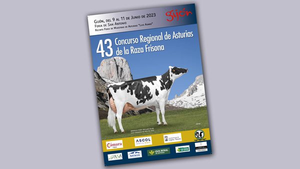 O 43.º Concurso Rexional de Asturias volve este sábado