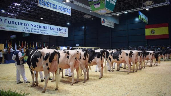 Revive todas as seccións do Concurso Nacional da Raza Frisona