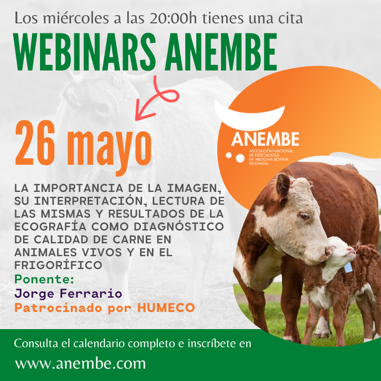 Anembe pecha mañá o ciclo de webinars do mes de maio