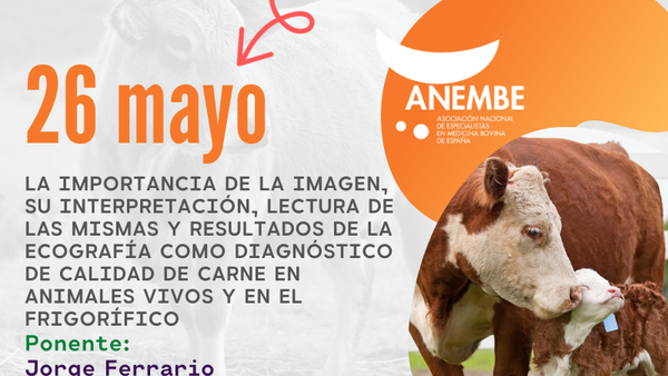 Anembe pecha mañá o ciclo de webinars do mes de maio