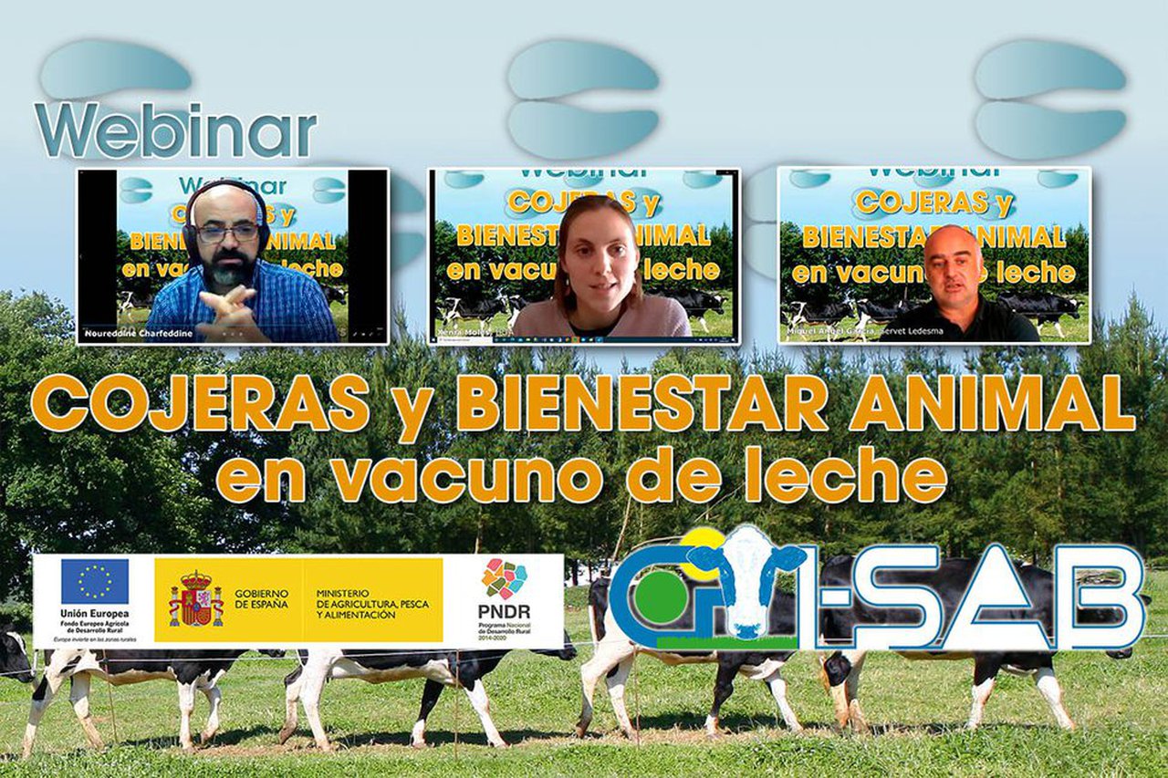 Conafe celebrou un webinar sobre coxeiras e benestar animal en vacún de leite