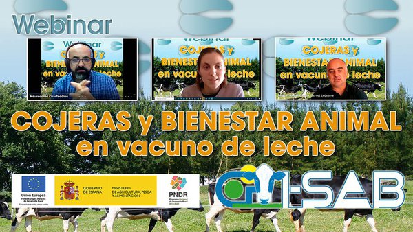 Conafe celebrou un webinar sobre coxeiras e benestar animal en vacún de leite