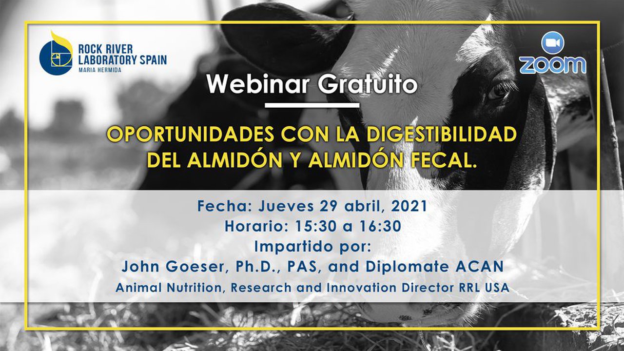 Webinar sobre as oportunidades coa dixestibilidade do amidón