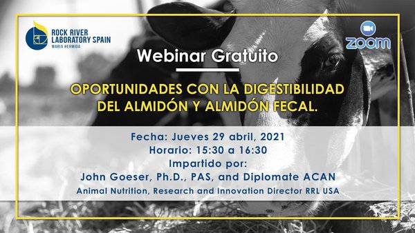 Webinar sobre as oportunidades coa dixestibilidade do amidón