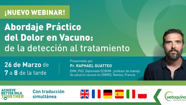 Nuevo webinar de Vetoquinol: "Abordaje práctico del dolor en vacuno: de la detección al tratamiento"
