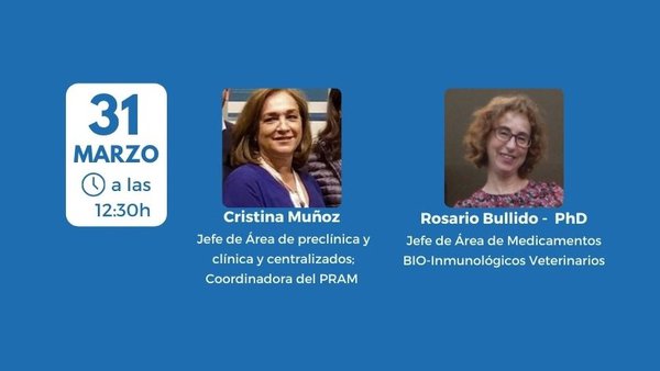 Webinario sobre o novo marco lexislativo do medicamento veterinario