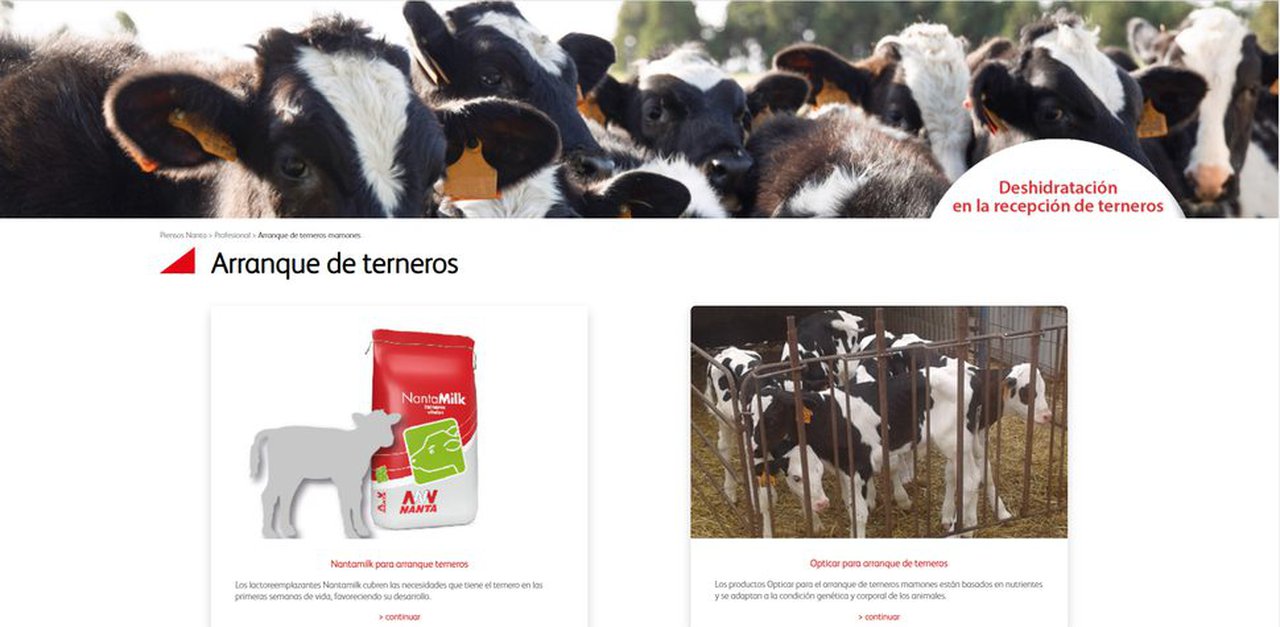 Nanta presenta os seus últimos pensos de arranque e novos servizos para a recepción de xatos mamóns