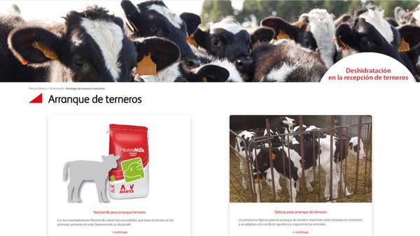 Nanta presenta os seus últimos pensos de arranque e novos servizos para a recepción de xatos mamóns
