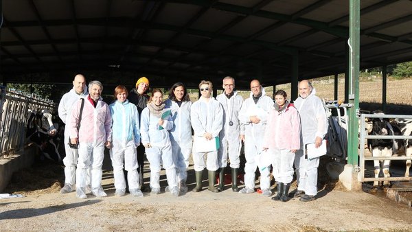 Curso de capacitación no WelFare Quality en Lugo