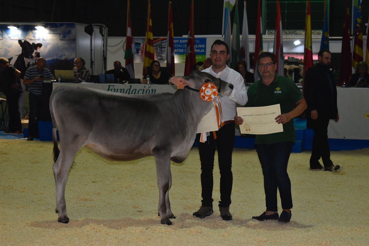 Famosa, elixida gran campiona de xatas e xovencas no nacional de pardas