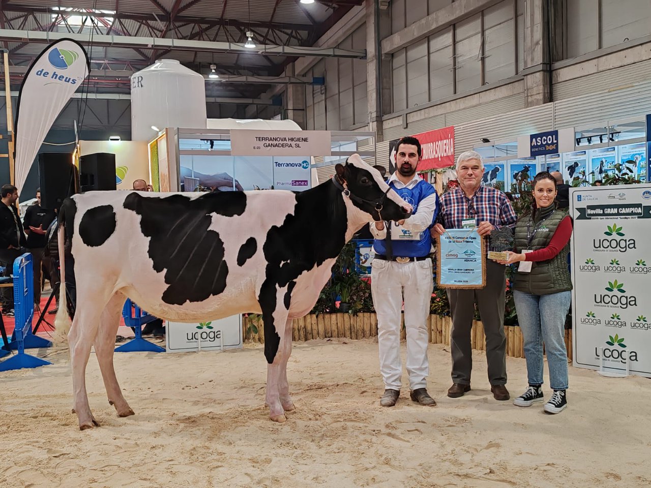 Rey 1239 Chief Divina, novilla gran campeona nacional e internacional en Gandagro 2025