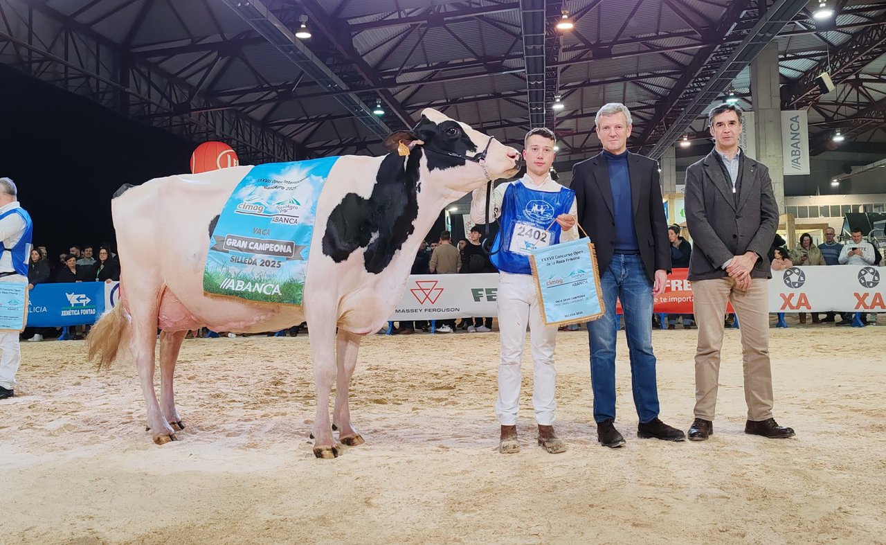 La vaca gran campeona de Gandagro 2025 es Kergo Ozalid 6818