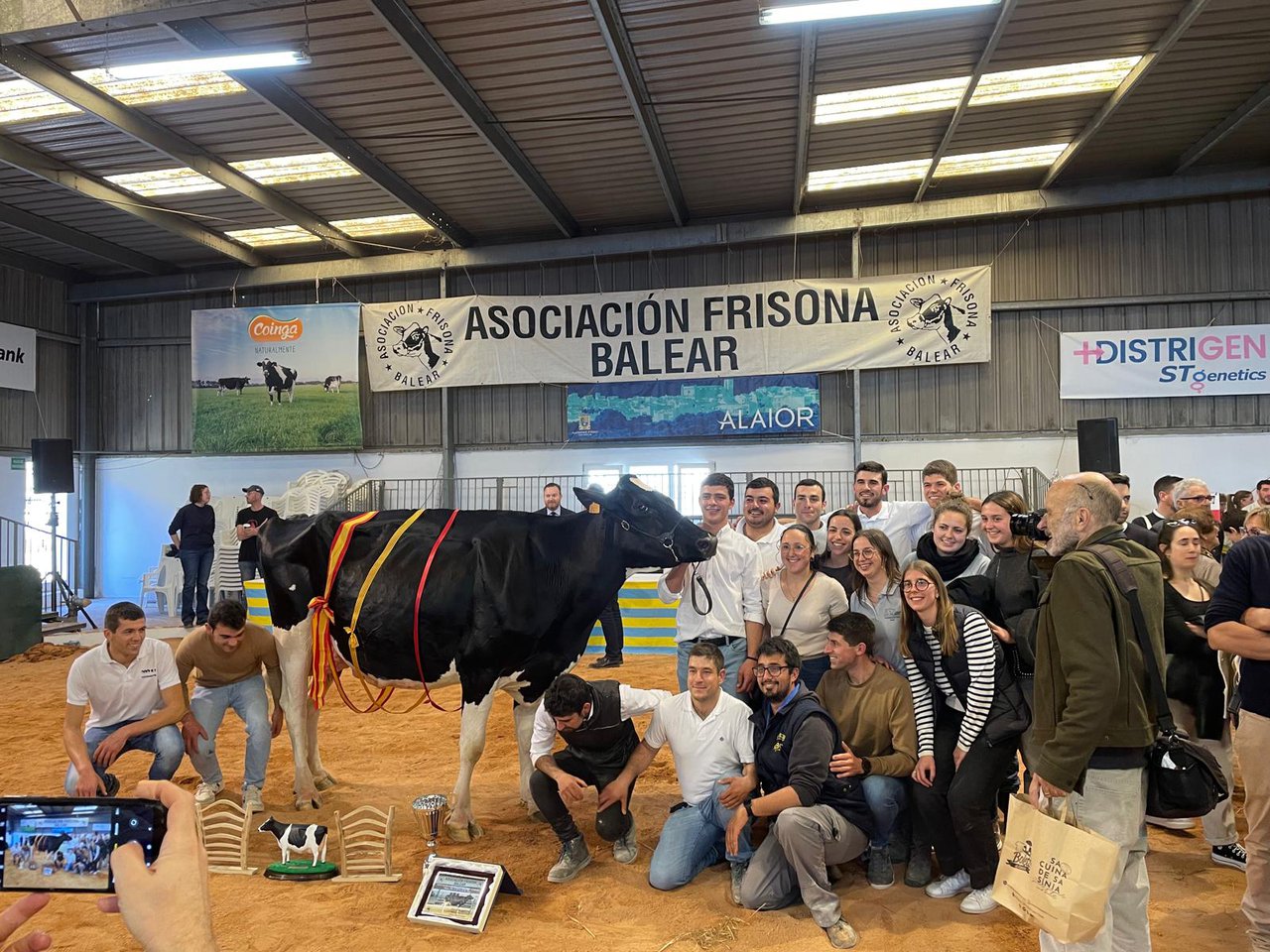 Torrellafuda Unix Gala, ganadora del concurso frisón de Menorca