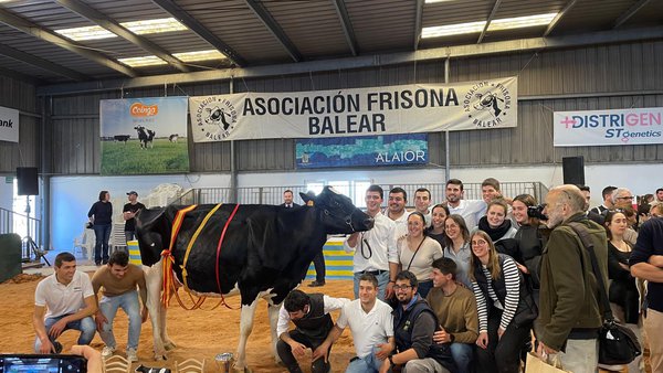 Torrellafuda Unix Gala, ganadora del concurso frisón de Menorca