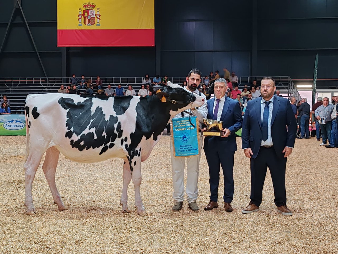 Rey 1346 Dani Negariel se convierte en la gran campeona de terneras y novillas del 45.º Concurso Nacional de la Raza Frisona