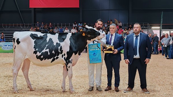 Rey 1346 Dani Negariel convértese na gran campiona de xatas e xovencas do 45.º Concurso Nacional da Raza Frisona