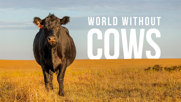 ¿Qué pasaría si no existieran las vacas?