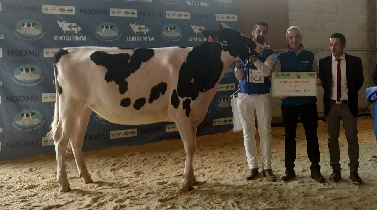 O premio de xovenca gran campiona de Moexmu 2023 levouno Rey 1085 Moovin Soly ET