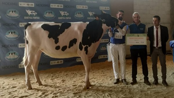 O premio de xovenca gran campiona de Moexmu 2023 levouno Rey 1085 Moovin Soly ET