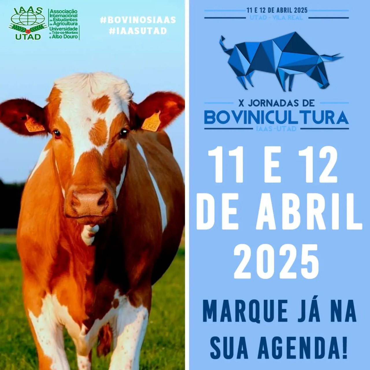 La IAAS-UTAD organiza en abril las X Jornadas de Bovinicultura